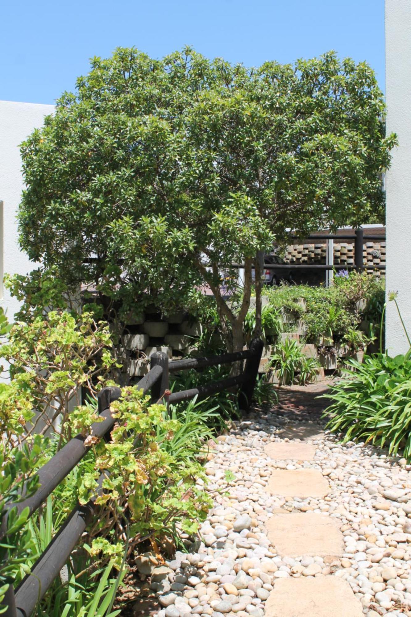 Appartamento 11 Arrowood Plettenberg Bay Esterno foto